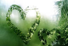 赛前广厦男篮调整名单以备亚冠，豪取连胜环节打磨，媒体盛赞，年轻球员得到机会的简单介绍-u8.com